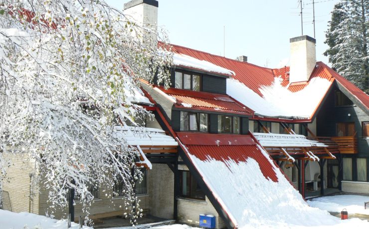 breza-spolja