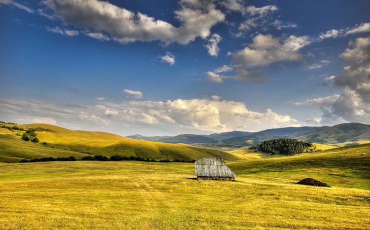 zlatibor-landscape