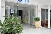 nei-pori-vila-aronis-5