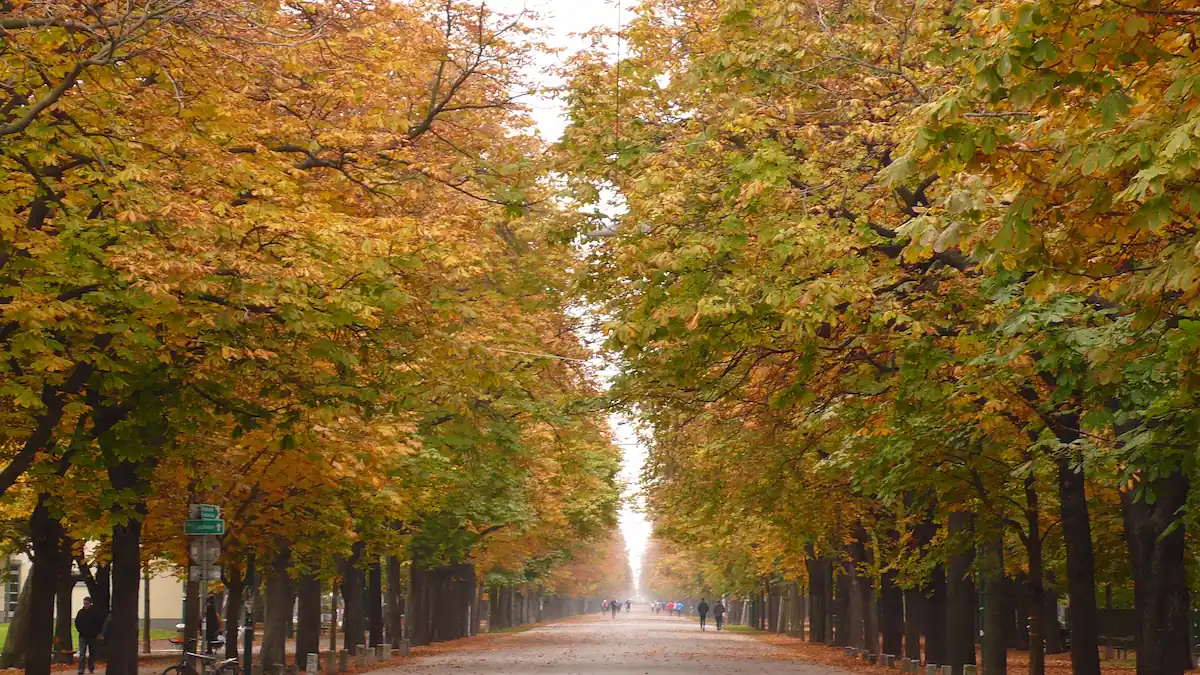 prater-u-jesen prater-u-jesen