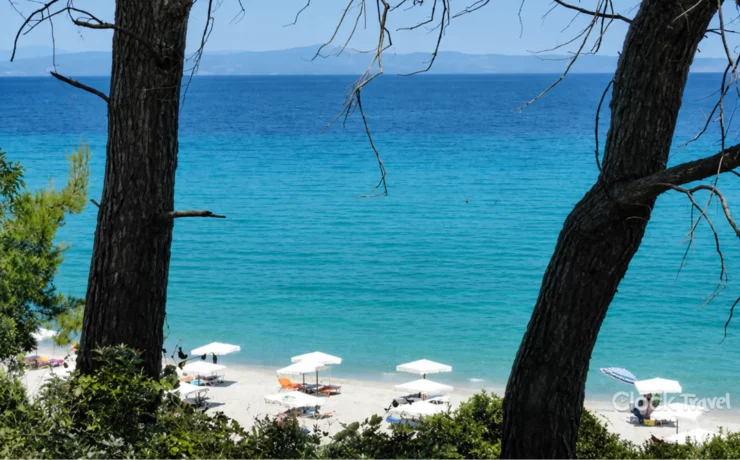 Kriopigi Beach: Skriveni zeleni kutak na istočnoj obali Kasandre Kriopigi Beach: Skriveni zeleni kutak na istočnoj obali Kasandre